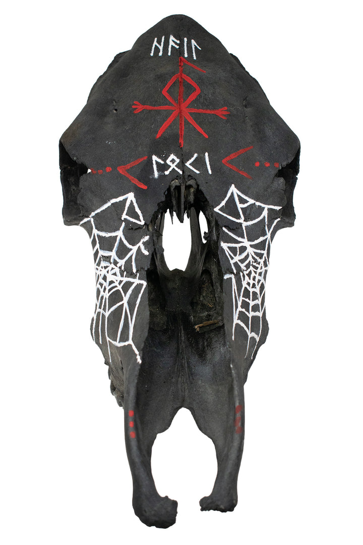 blackened loki cow skull