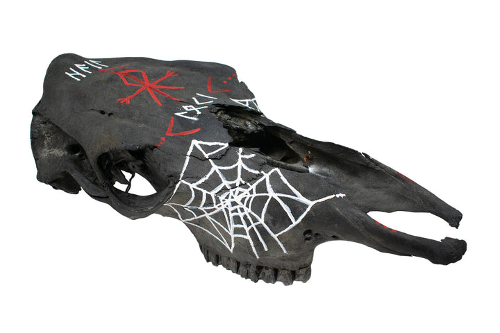 blackened loki cow skull