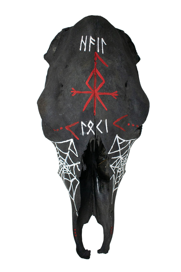 blackened loki cow skull