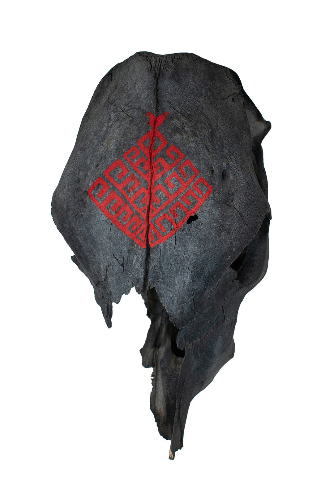 Blackened Partial Cow Skull with Yggdrasil - Överhogdal Tapestry Inspired