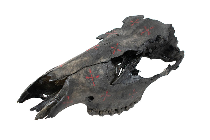 Blackened Elk Skull with Hand Painted Protection Staves