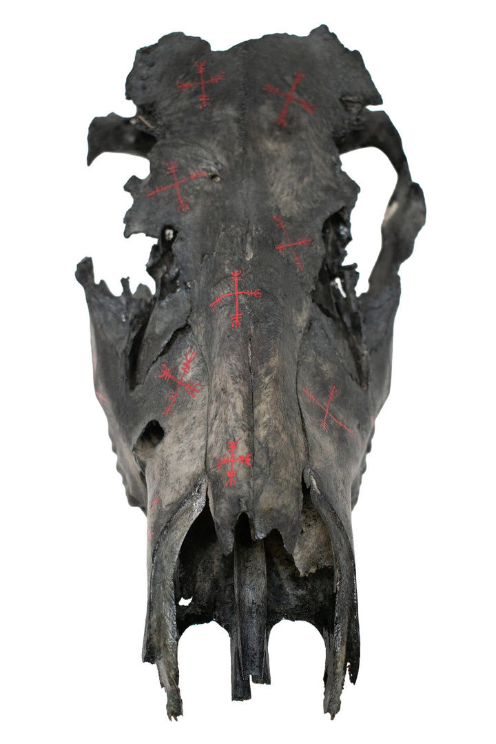Blackened Elk Skull with Hand Painted Protection Staves