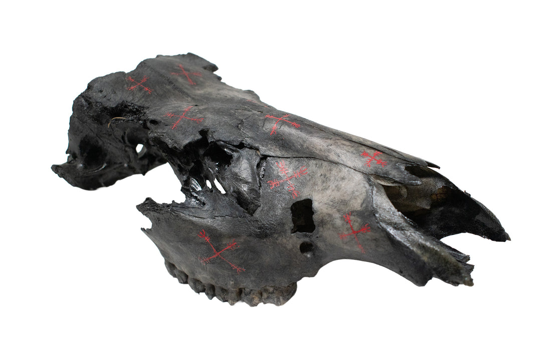 Blackened Elk Skull with Hand Painted Protection Staves
