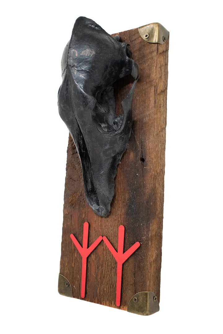 Blackened Coyote Skull and Algiz Rune Wall Hanger