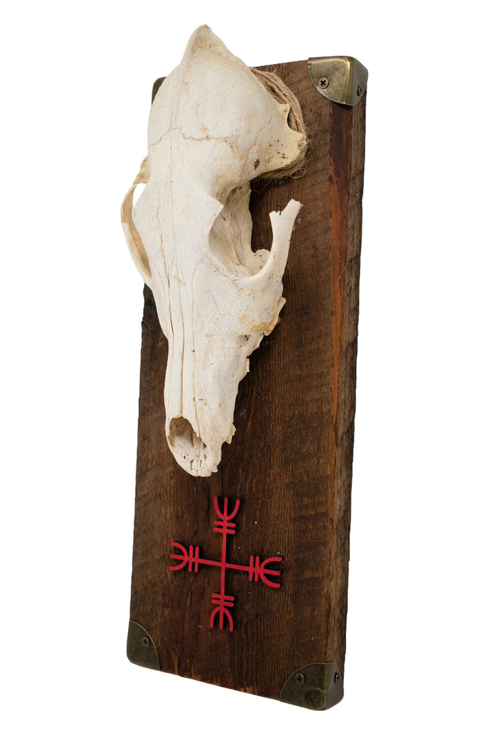 Coyote Skull Protection Sigil Wall Hanger