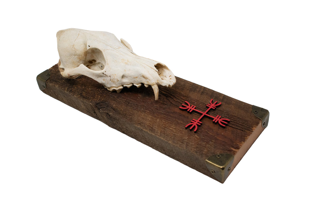 Coyote Skull Protection Sigil Wall Hanger