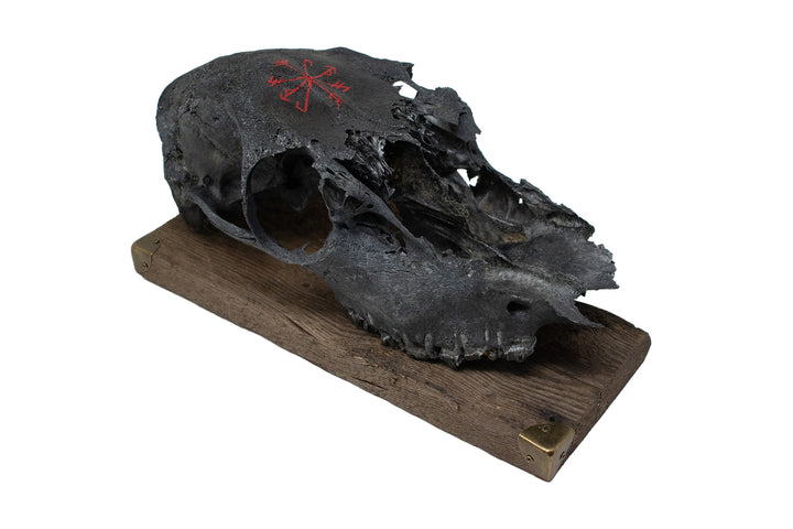 Blackened Elk Skull Strength and Growth Stave Wall Hanger