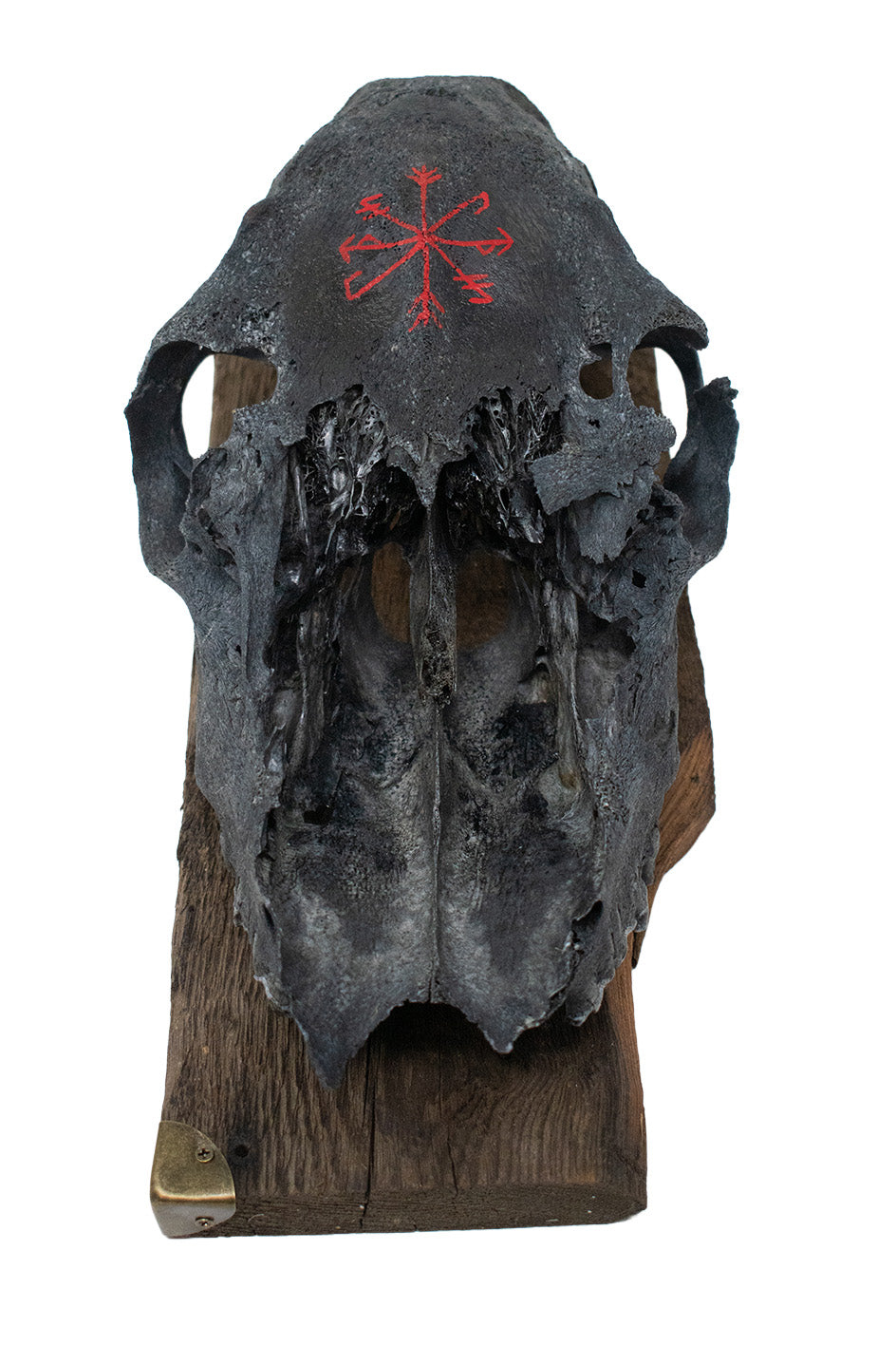Blackened Elk Skull Strength and Growth Stave Wall Hanger