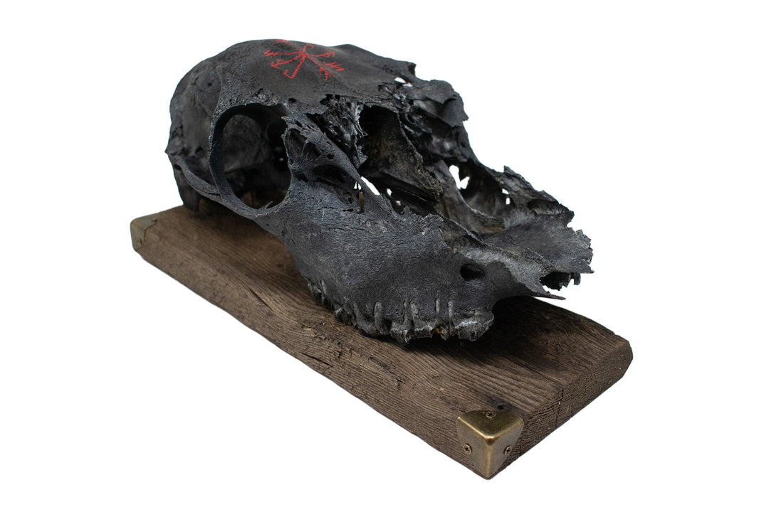 Blackened Elk Skull Strength and Growth Stave Wall Hanger