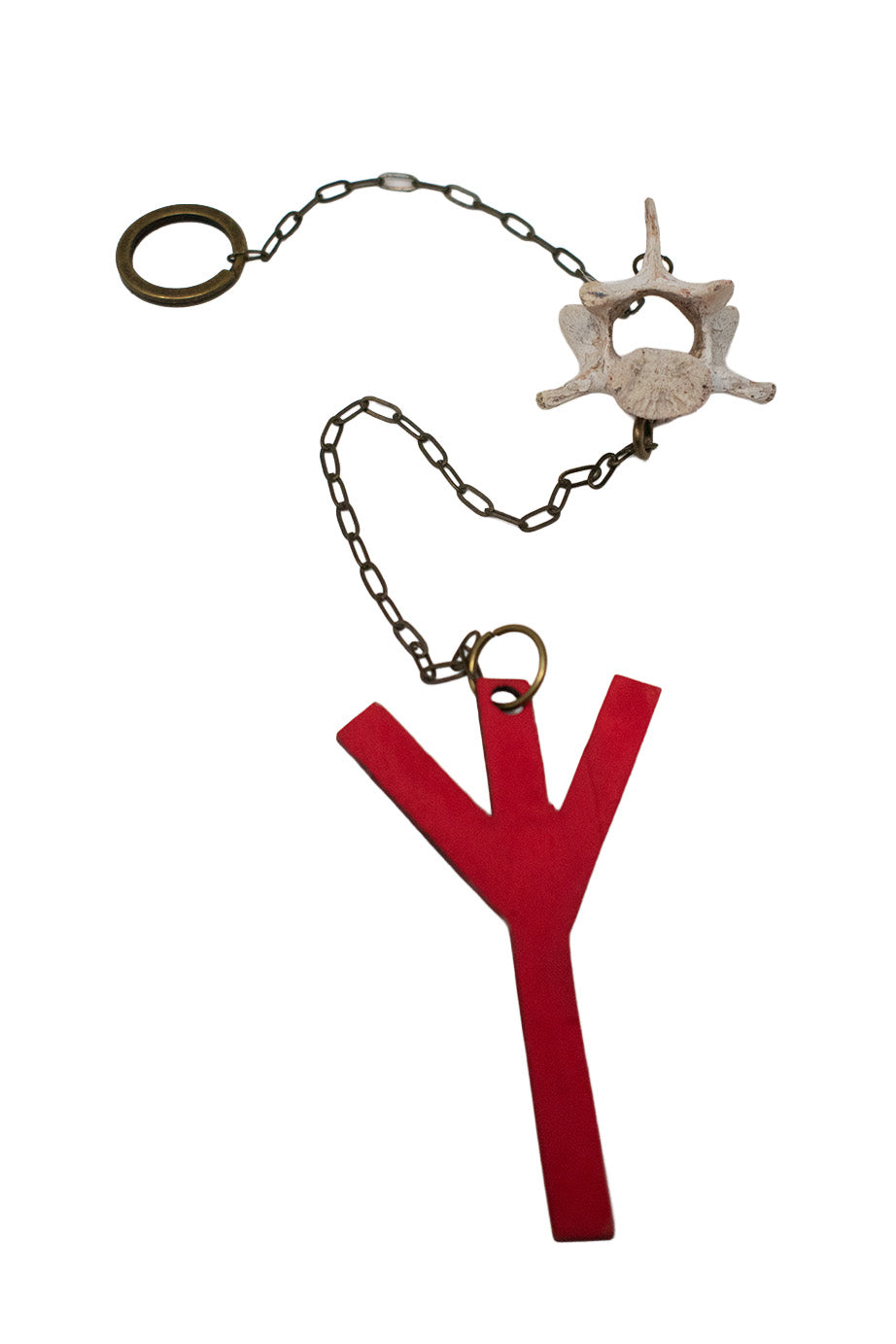 Coyote Vertebra Protection Chime with Algiz Rune
