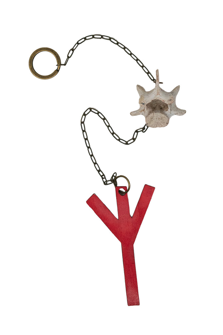 Coyote Vertebra Protection Chime with Algiz Rune