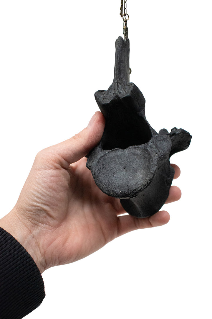 Blackened Cow Vertebra Skeleton Key Bone Chime