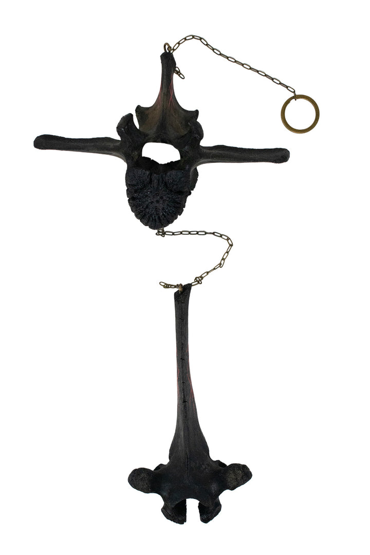 Blackened Cow Vertebra Protection Chime with Hand Painted Staves
