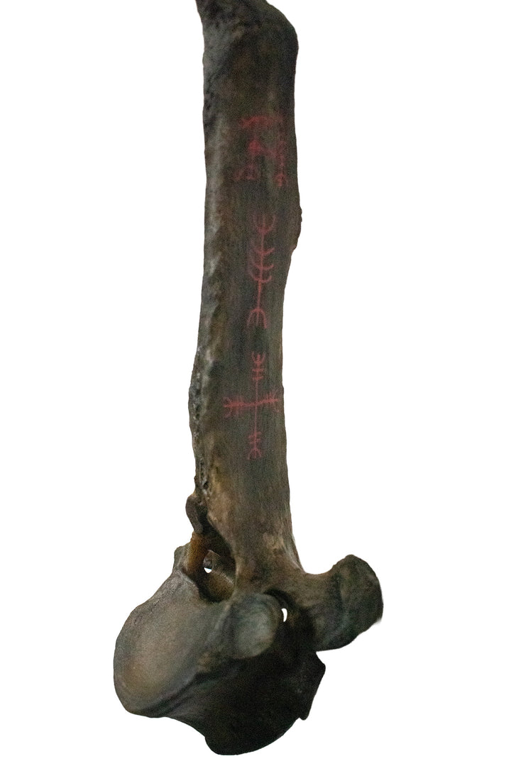 Blackened Cow Vertebra Protection Chime with Hand Painted Staves