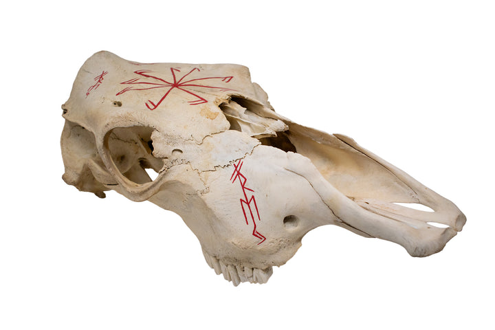 Freya Invocation Cow Skull