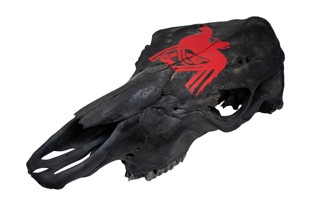 Odin & Sleipnir Cow Skull