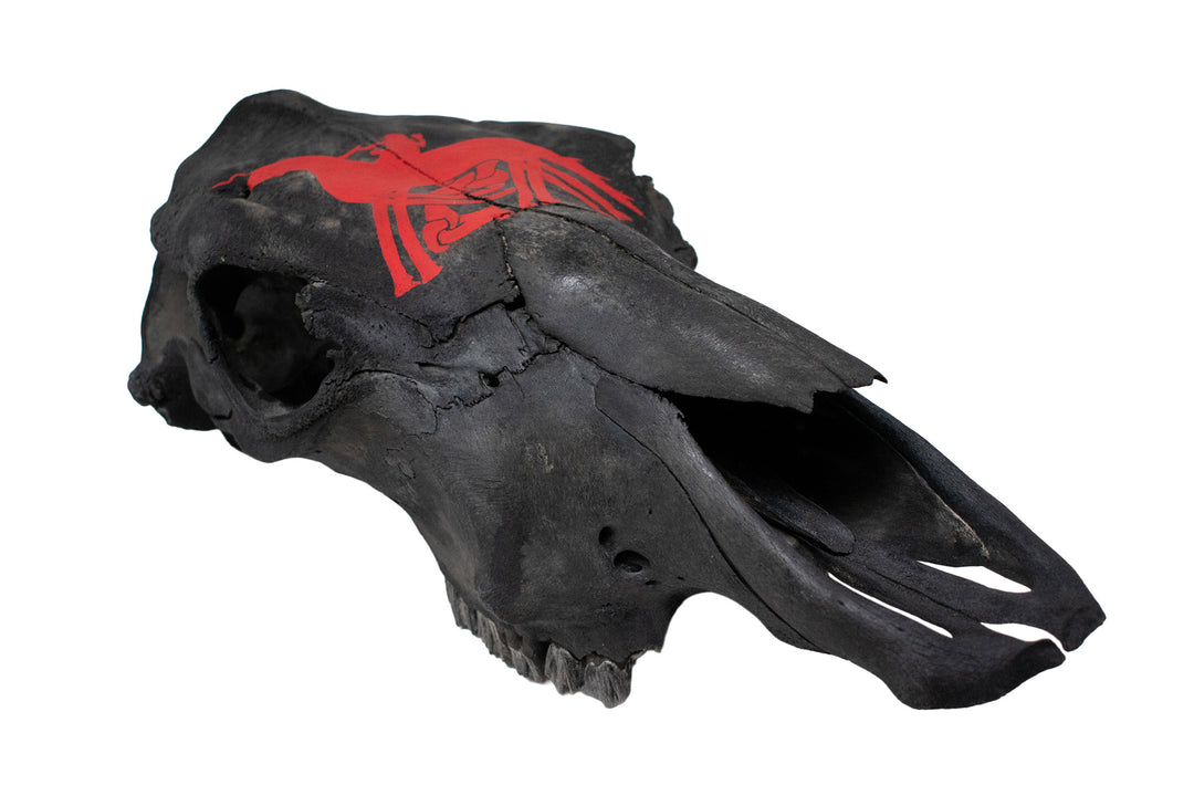 Odin & Sleipnir Cow Skull