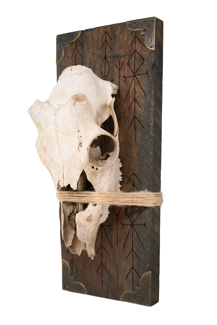 Deer Skull Home Protection Bindrune Wall Hanger