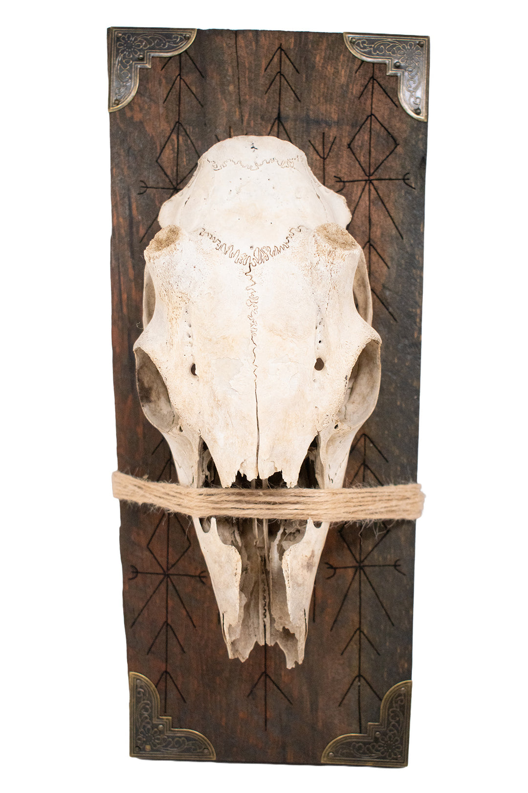 Deer Skull Home Protection Bindrune Wall Hanger