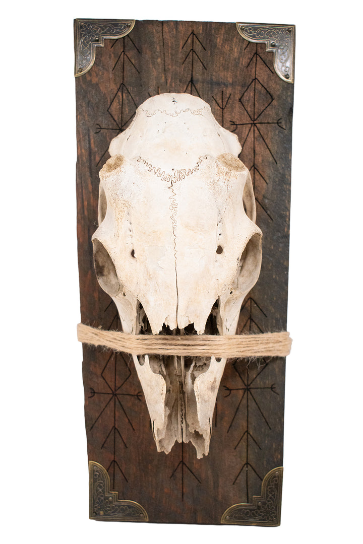 Deer Skull Home Protection Bindrune Wall Hanger