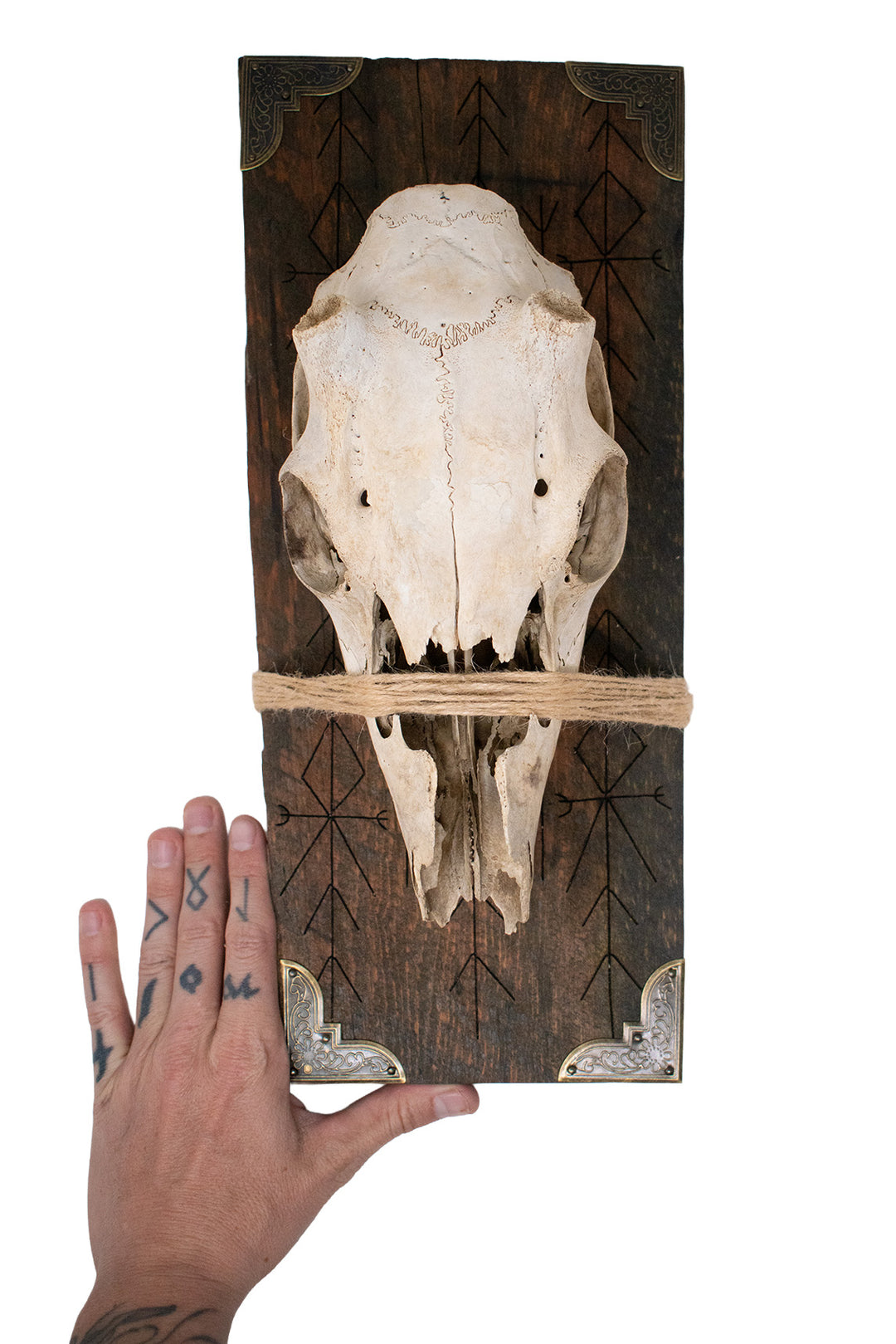 Deer Skull Home Protection Bindrune Wall Hanger