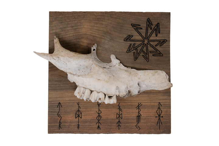 Deer Jawbone Norse Gods Bindrune Wall Hanger