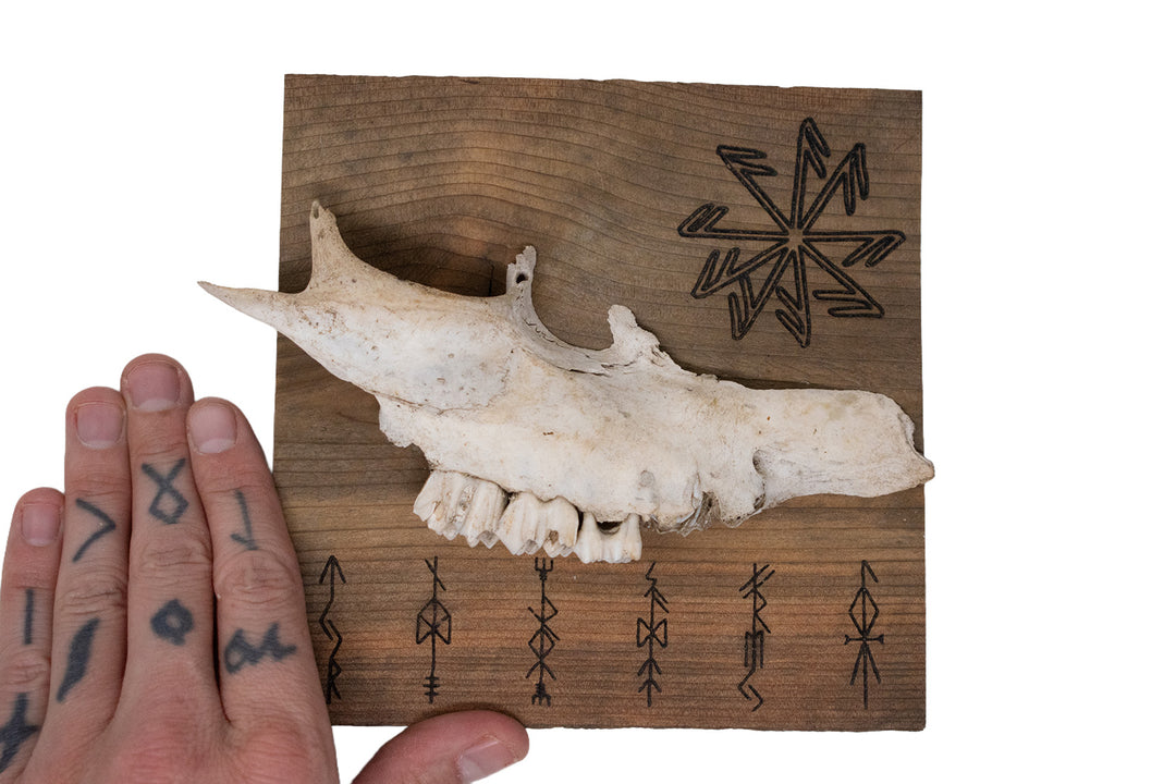 Deer Jawbone Norse Gods Bindrune Wall Hanger