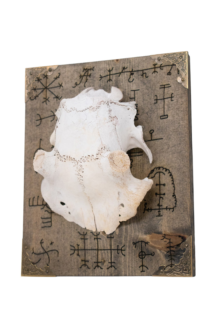 Deer Skull Cap Icelandic Magical Staves Wall Hanger