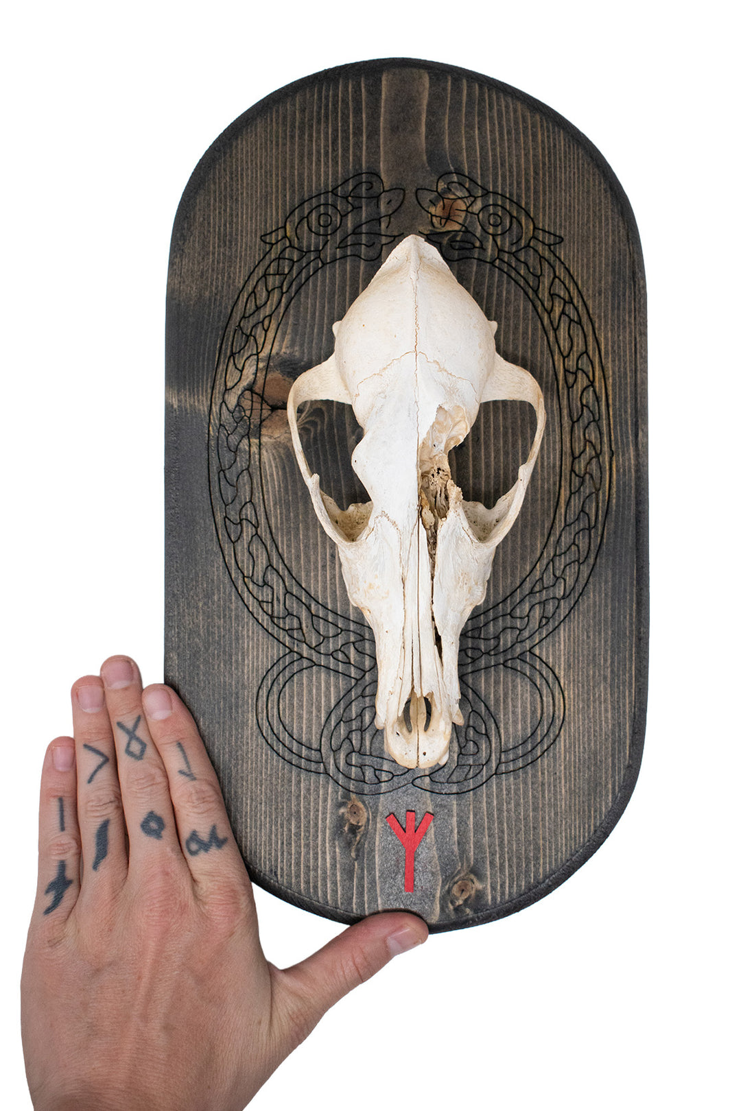 Coyote Skull Algiz Rune Wall Hanger