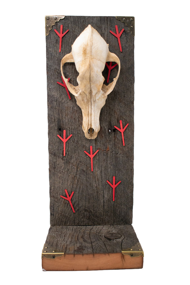 Coyote Skull Algiz Protection Altar