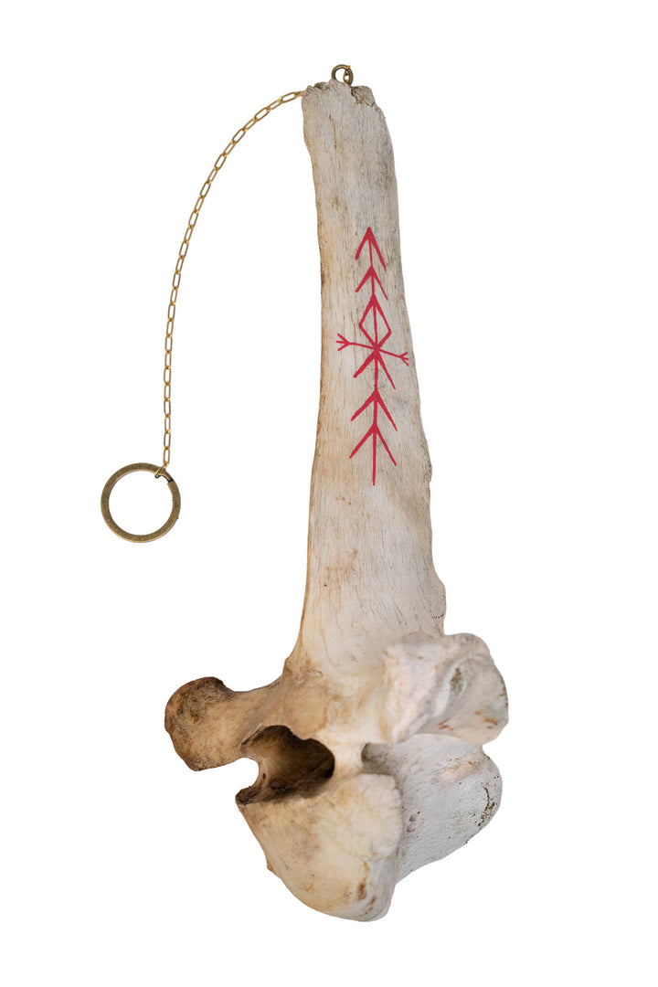 Cow Vertebra Home Protection Bindrune Chime