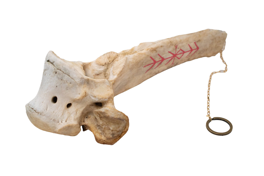 Cow Vertebra Home Protection Bindrune Chime