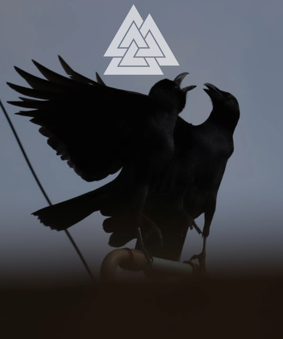 Odin's ravens sticker