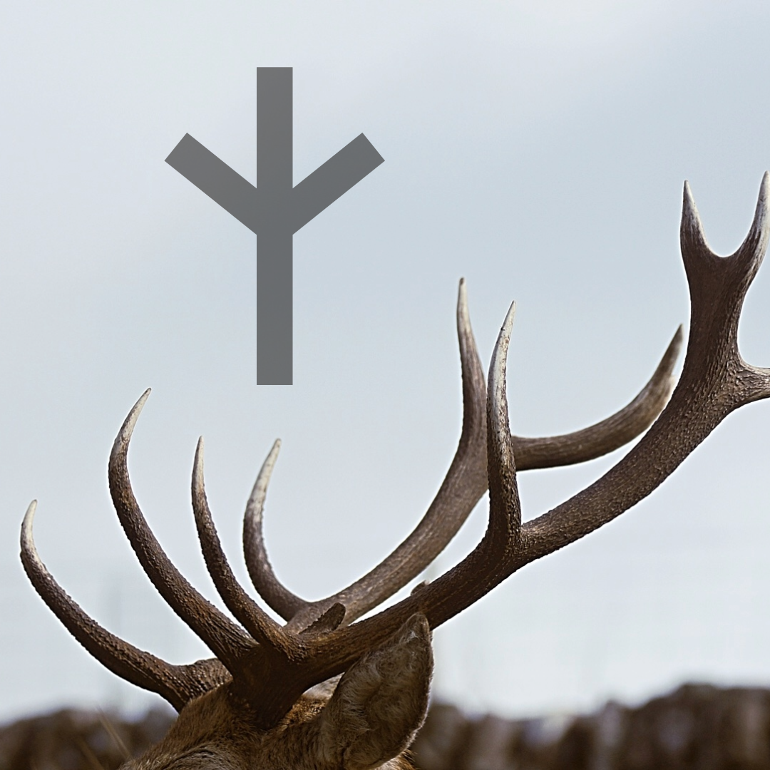 Algiz antler sticker