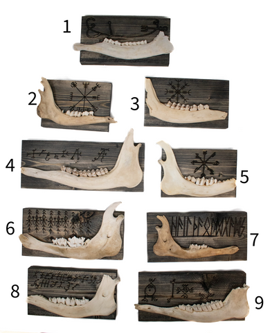 Image of norse symbols deer jawbone wall hanger