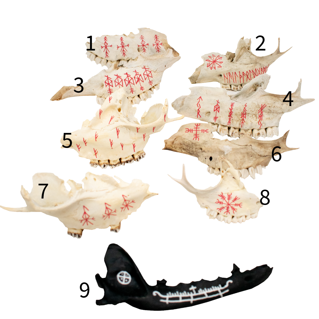 painted bone talismans