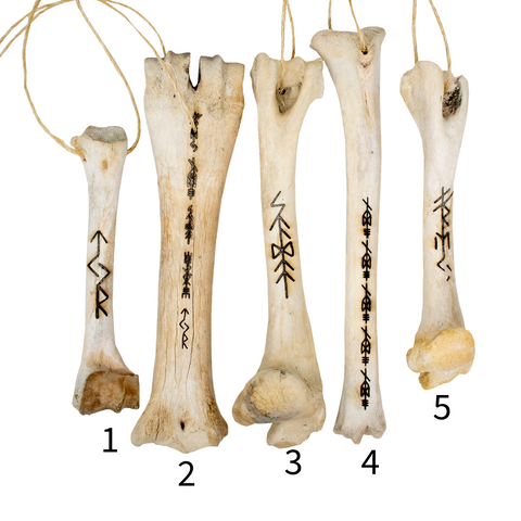 Image of leg bone talismans for the norse gods