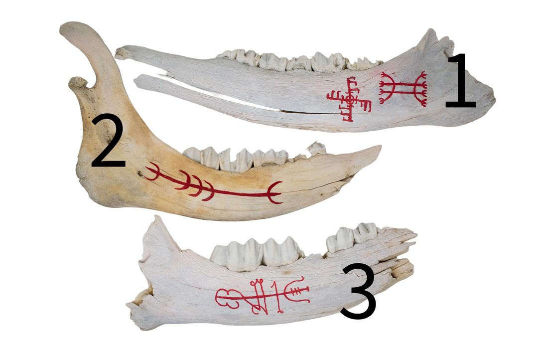 Painted Elk Jawbone Icelandic Magical Staves