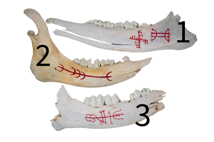 Painted Elk Jawbone Icelandic Magical Staves