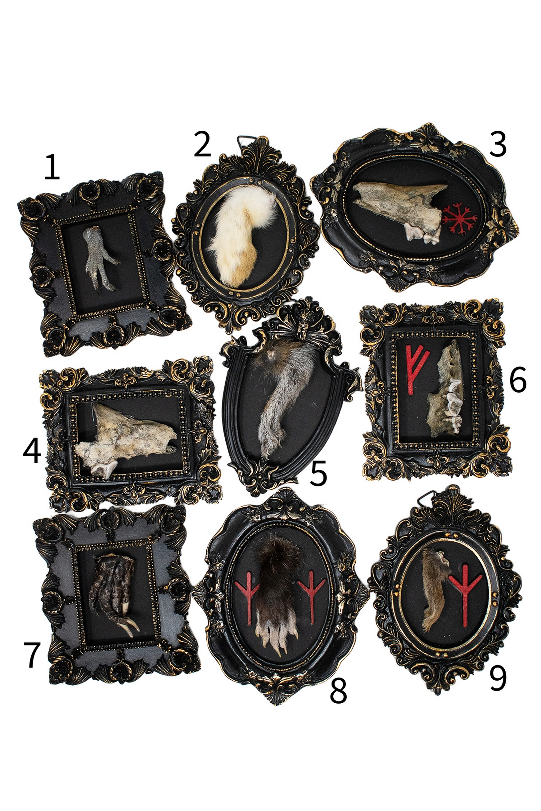 Oddities Bone & Foot Magnets