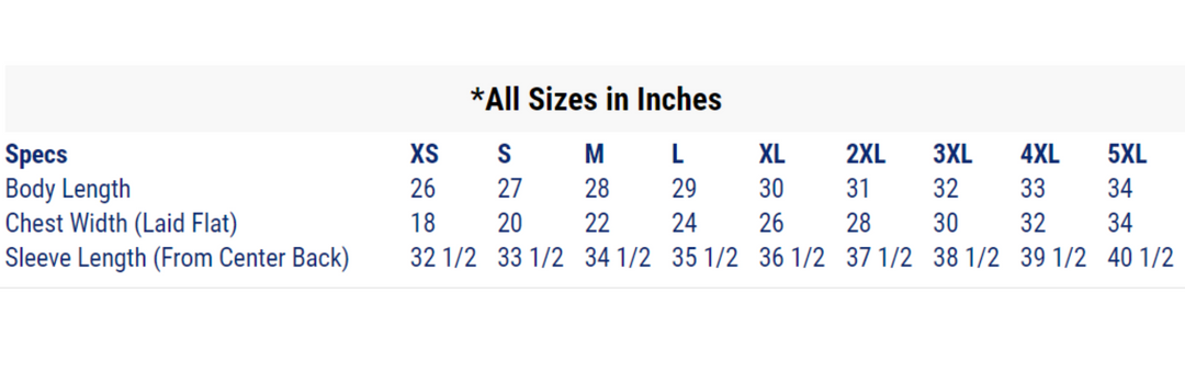 Icelandic magical staves hoodie