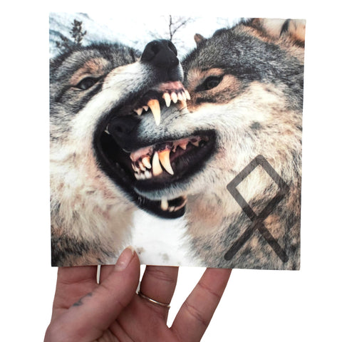 Image of Odin's wolves sticker