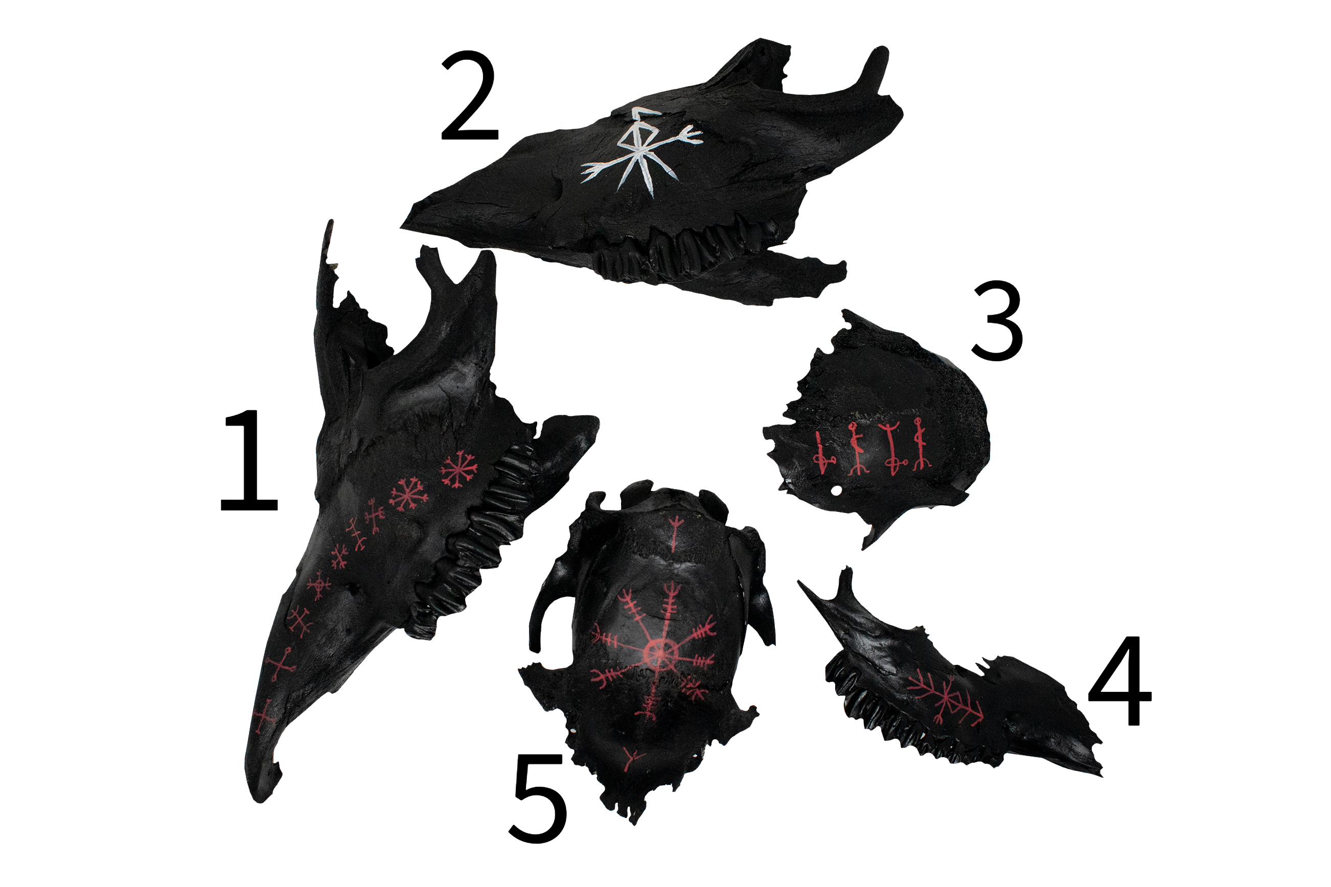 Blackened Ritual Bone Talismans — Hand Painted with Icelandic Staves