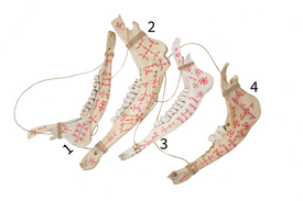 Hand Painted Jawbone with Icelandic Magical Staves