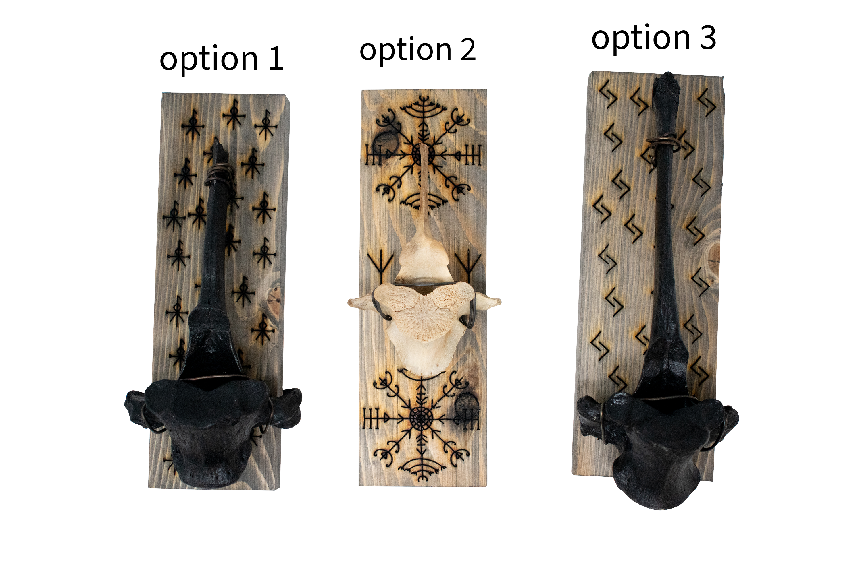 elk vertebra wall hanger