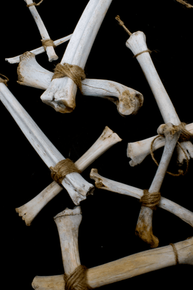 inverted cross bone hanger