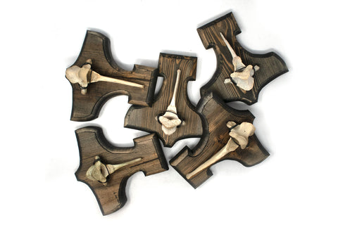Image of Mjolnir Thor's hammer deer vertebra hanger