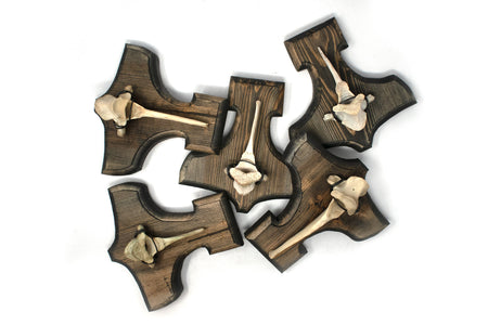 Mjolnir Thor's hammer deer vertebra hanger