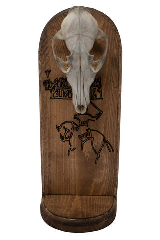 Image of Möjbro Runestone Coyote Skull Altar